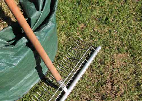 Tipps zur Gartenpflege