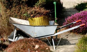 gartenarbeit-herbst