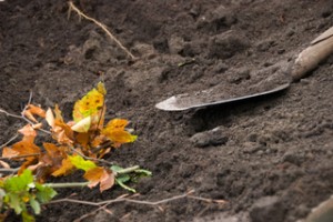 gartenarbeit-herbst Gartenarbeit im Herbst