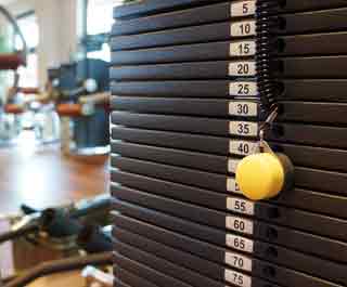 Sport und Ernährung - Ernährungstipps und Trainingstipps
